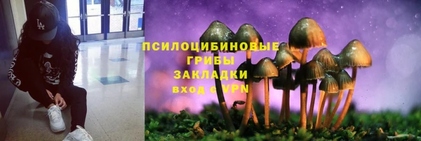 МДПВ Медногорск