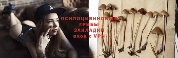 трава Магас