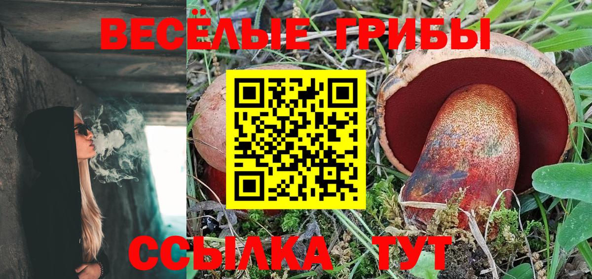 Псилоцибиновые грибы Psilocybe Каменск-Уральский