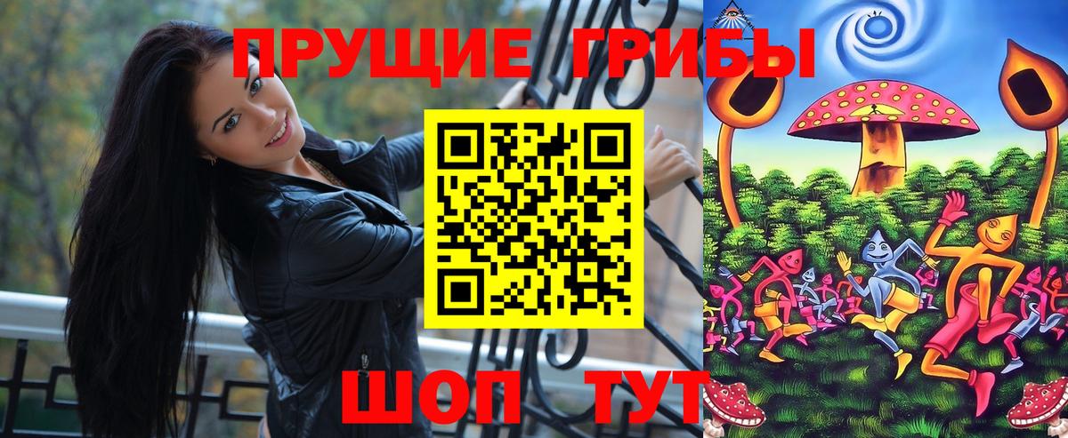 как найти закладки  Вход с VPN  Каменск-Уральский  Галлюциногенные грибы Psilocybine cubensis 