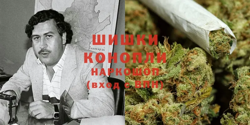 blacksprut ссылки  Каменск-Уральский  мориарти Telegram  Марихуана Ganja 